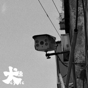 日本电影在叔母家做客
